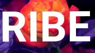 RIBE APRIL HOROSKOP ❤️ VAŠA ODLUKA ĆE PRESUDITI [upl. by Enelehs]