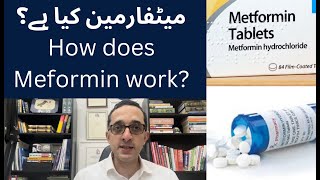 What is Metformin Medicine  Metformin medication kaisay kam karti ha [upl. by Welton]