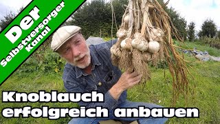 Knoblauch erfolgreich anbauen So mache ich es [upl. by Yznyl]