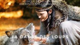 La danse des Loups Musique Chamanique Amérindienne avec Tambour et Chants de Lumières [upl. by Fagan834]