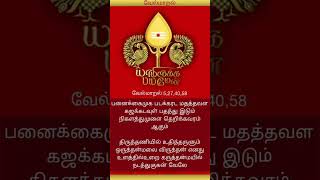 velmaaral murugan devotional song shorts tranding velmuruga velmaaral tamil [upl. by Aritak611]