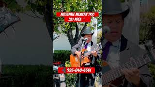 Authentic Mexican Trio based in the Bay Area triomariachitepatitlan [upl. by Ahsinav]