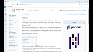 Programmation Python  La structure DataFrame de la librairie quotpandasquot [upl. by Annil]