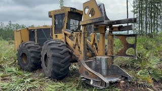 Tigercat 720G Feller Buncher Clear Cutting🌲 [upl. by Heather]