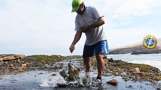 Increíbles técnicas de Pesca con Cangrejos [upl. by Ellenaj]