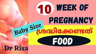 Pregnancy Week By Week Malayalam  10 Week of Pregnancy [upl. by Aneryc]