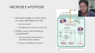 Revisão de Patologia Geral Veterinária [upl. by Kerred954]