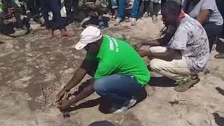 Journée de reboisement avec Lead Sénégal Apprendre à planter un arbre [upl. by Niklaus754]