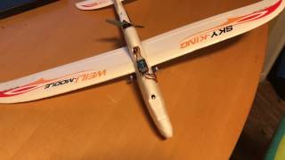 Sky King F959 Brushless Conversion [upl. by Kcirdahc]