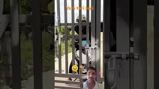 yara Teri yari ka🧑‍🤝‍🧑 cutebaby cute love baby bachpan life song hanuman live [upl. by Eilyr885]