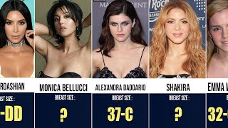 BRA SIZES FAMOUS CELEBRITIES The Results Will Shock You 😱 [upl. by Ramedlab]