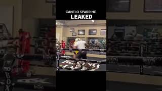 Canelo sparring leaked videocaneloalvarezgggdaviscruzfitnessolympicstoprankufcboxingtyson [upl. by Hcab]