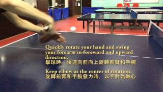 Slow Motion Table Tennis Demo Backhand Flick 慢鏡教學 反手擰拉 甲組優秀球員示範 [upl. by Judye]