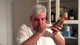 This is what a shofar or rams horn trumpet sounds like Go Martin [upl. by Yahsat]