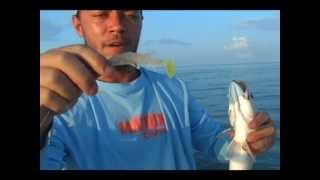 Redfishing with Captain Marty LaCoste Part 2 [upl. by Chrisoula116]