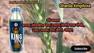 gharda kingdoxa insecticide  Indoxacarb 145 SC kingdoxa indoxacarb agriculture Gharda [upl. by Archle171]