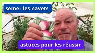 Semis de navets fin juillet astuces pour réussir une récolte parfumée et succulentes [upl. by Lynnett551]