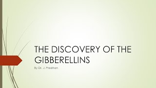 Discovery of Gibberellins [upl. by Atiloj]