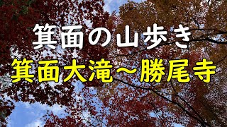 関西低山 箕面大滝～最勝ヶ峰～勝尾寺 紅葉が美しい山歩き [upl. by Oirevlis]