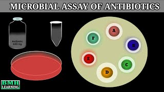 Microbial Assay Of Antibiotics  Antibiotic Sensitivity Test By Cup Plate Diffusion Method [upl. by Kimberly379]