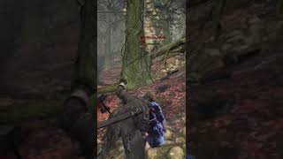 Me invaden en ds3 dos perro de farron  fantasma1422 de Twitch [upl. by Helms]