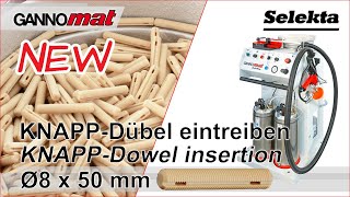 KNAPP dowel 8x50 mm  GANNOMAT Selekta Handheld glue and dowel inserter  KNAPP Dübel [upl. by Kaslik756]