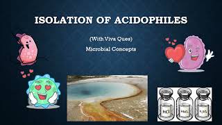 Isolation of Acidophiles with Viva Questions [upl. by Airotal]