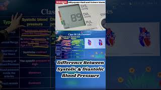 Difference Between Systolic amp Diastolic Blood Pressure  Class 10  Life Process [upl. by Novaelc]