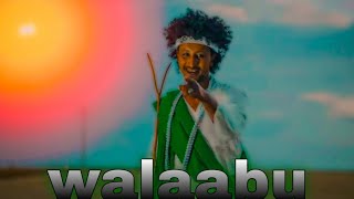 Lencho Gemechuwalaabuofficial video [upl. by Airet825]