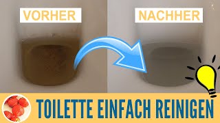 Toilette reinigen Urinstein Toilettenränder amp Kalkflecken beseitigen mit selber gemachten WCTabs [upl. by Aridan]