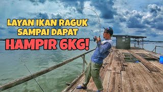 DAPAT IKAN RAGUK HAMPIR 6KG MEMANCING RAKIT DI JOHOR  Rakit Tony Rakit 8 [upl. by Schreck]