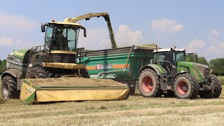 Krone Big X 1180  Trinciatura grano 2023 [upl. by Claus885]