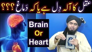 AQAL Intellect ka AALA Instrument DIL Heart hai ya DAMAG Brain  SCIENCE Vs QURAN [upl. by Jacobsohn]