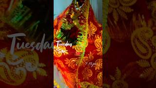 Jai Tulsi maiya ji song hindi 🙏🪔 shorts video 😍 [upl. by Hurlee487]