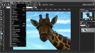 PaintShop Photo Pro X3 New Features Highlights [upl. by Apurk]