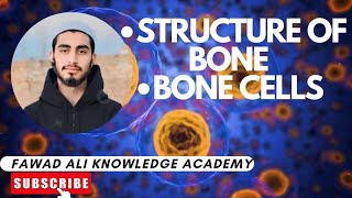 Structure of Bone with diagramBone Cells [upl. by Fairweather617]