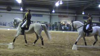 World Famous Lipizzaner Stallion Show [upl. by Najed]