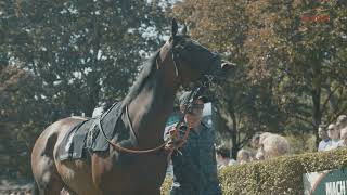 Galopprennbahn BadenBaden  Aftermovie Baden Galopp 2021 [upl. by Garek655]