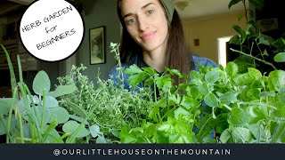 HERB GARDENS BEGINNERS GUIDE  HOW TO  GARDEN BASICS [upl. by Ahsenek]