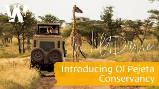 WildDrones First Kenya Trip Introducing Ol Pejeta Conservancy [upl. by Alger]