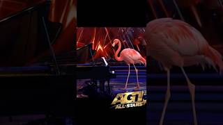 Flamingo’s Unbelievable Piano Performance Leaves Judges and Audience on Their Feet AGT 2024 [upl. by Baillieu]