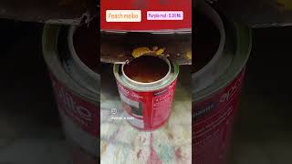 Apcolite Satin Enamel oil paint ytshorts shorts youtubeshorts art india reels tiktok new [upl. by Averat261]