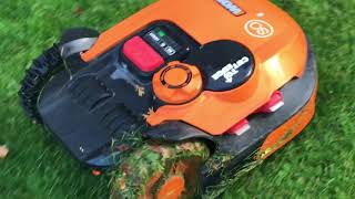 AUTUMN problems  Landroid WORX Robotic lawn mower  AUTUMN problems [upl. by Biddy]