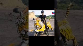 Bangla funny shorts video 😂  Bangla shorts videoshorts short viral funny lokalkingbd [upl. by Saxe]