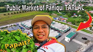 Welcome to the Province Of Tarlac  Paniqui Public Market  Papait [upl. by Ennairak992]