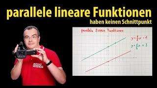 parallele lineare Funktionen haben keinen Schnittpunkt  Lehrerschmidt [upl. by Hackney]