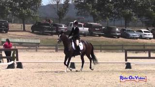 332D Ashley Aguado on Miss Artemis Junior Beginner Novice Rider at Woodside May 2014 [upl. by Mcarthur]