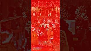 didi tera devar dewanatrandingshorts pakistaniwedding weddingdance india dance viralvideo [upl. by Aehsat]