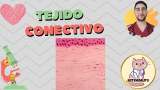 TEJIDO CONECTIVO 1 CARACTERÍSTICAS CLASIFICACIÓN Y CÉLULAS  HISTOLOGÍA [upl. by Corron]