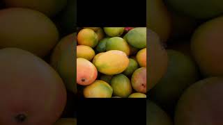 Mango idea fromgelnox memeviraleditzshortsfeed [upl. by Cecile]